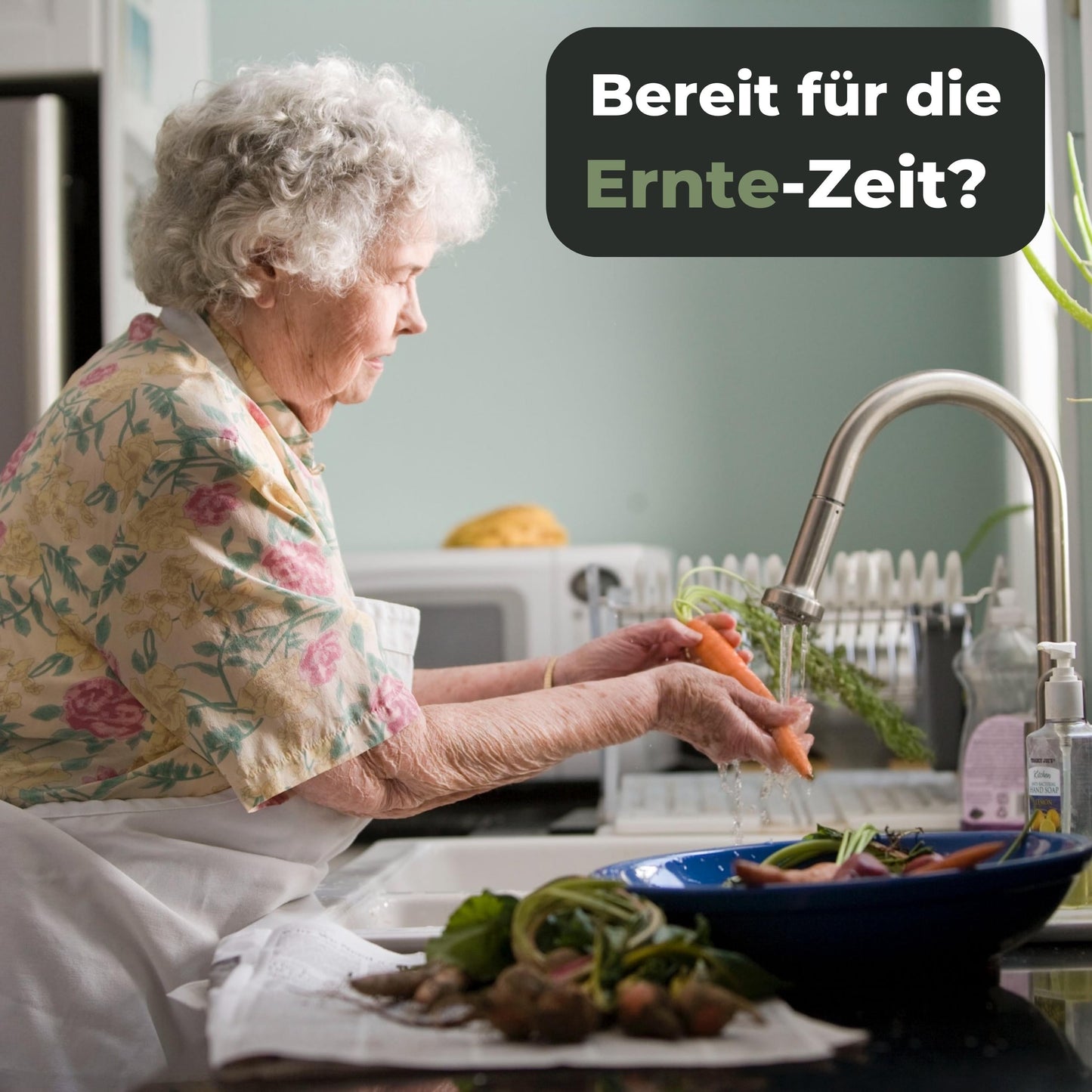 Gemüsebürste Holz zwei Härtegrade - Obst- & Gemüsereiniger