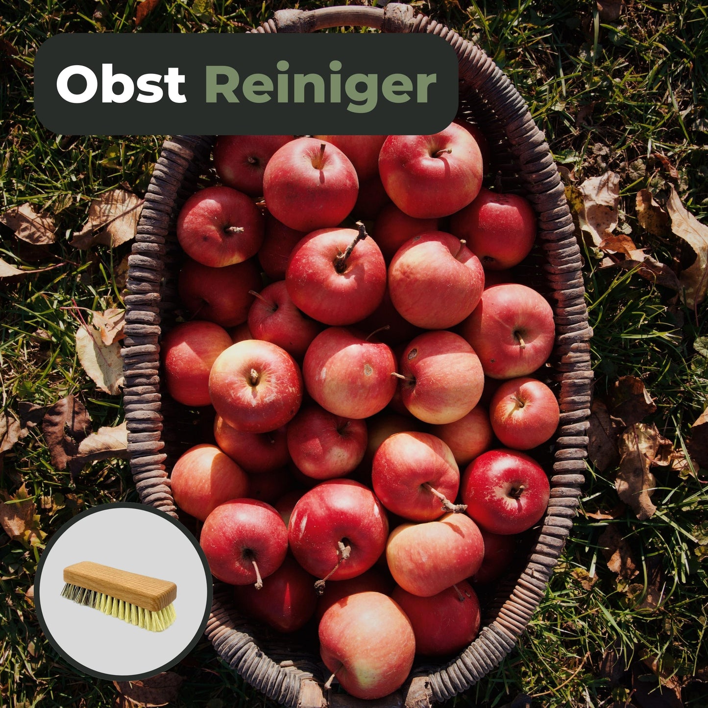 Gemüsebürste Holz zwei Härtegrade - Obst- & Gemüsereiniger